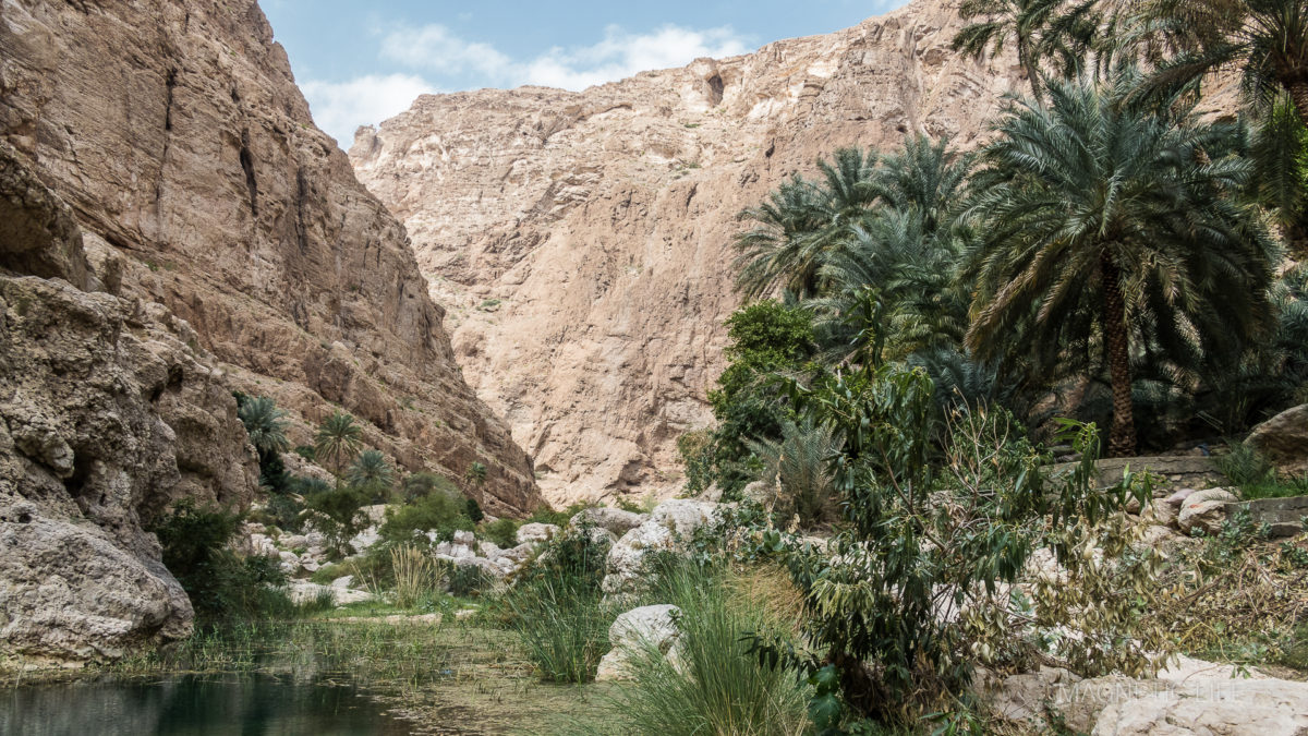 Wadi Shab 