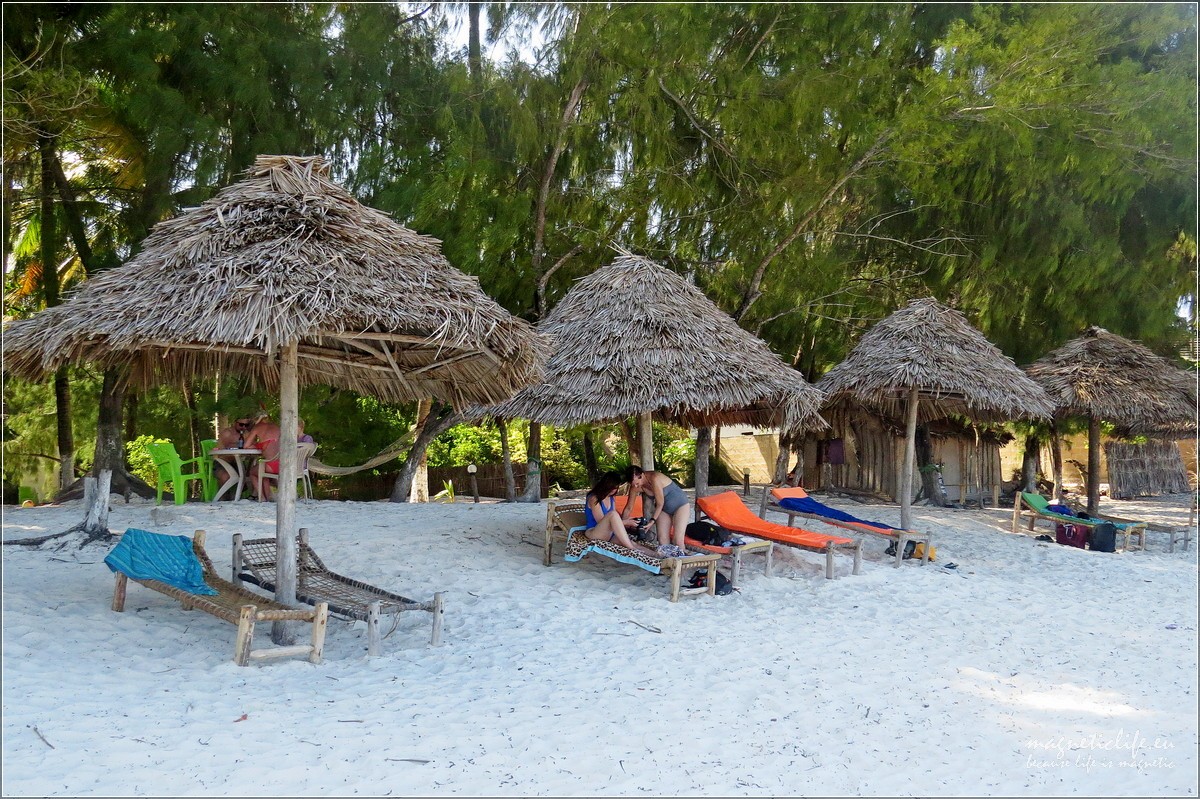 Baraka żółwie i dwa oblicza Zanzibaru. Plaża
